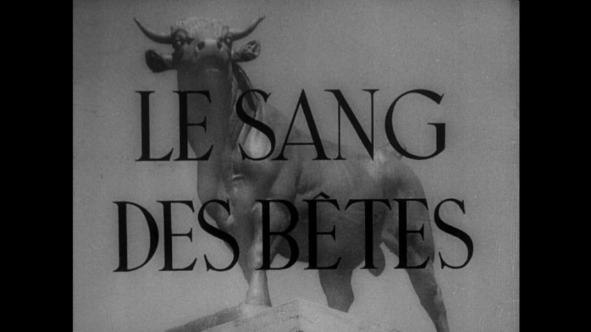 Screen shot for “Le Sang des bêtes” (Blood of the Beasts)