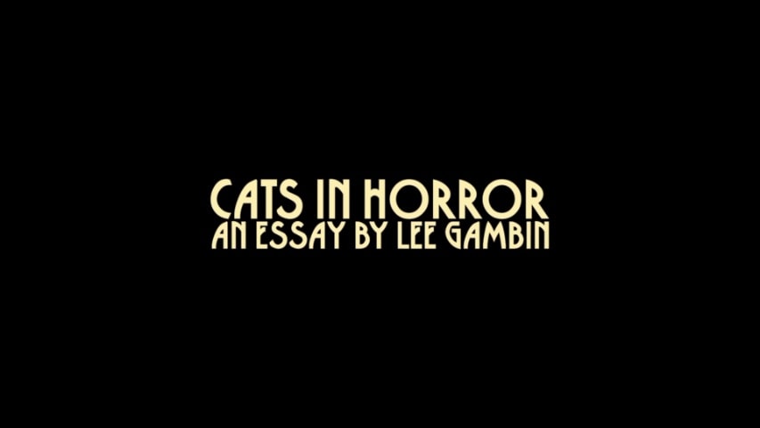 Screen shot for Cats in Horror
