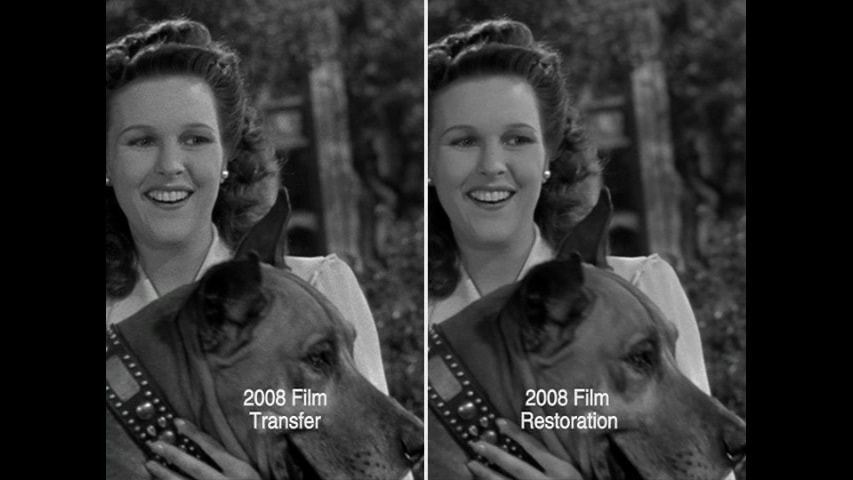 Screen shot for Restoration Comparison