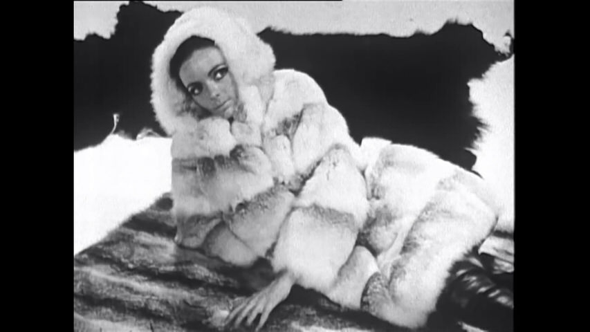 Screen shot for “Barbara & Her Furs”
