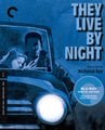 Criterion box art