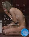 Criterion box art