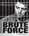 Criterion box art