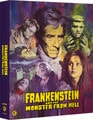 Frankenstein and the Monster from Hell disc
