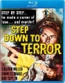 Step Down to Terror disc