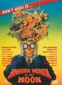 Image box art