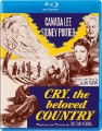 Kino box art