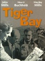 Image box art