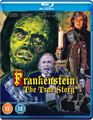 Frankenstein: The True Story disc