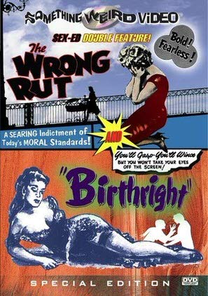 Birthright poster