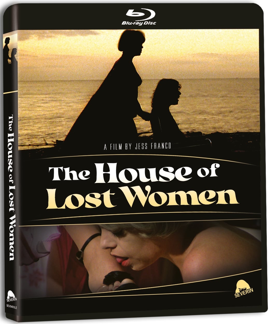 Poster of The House of Lost Women