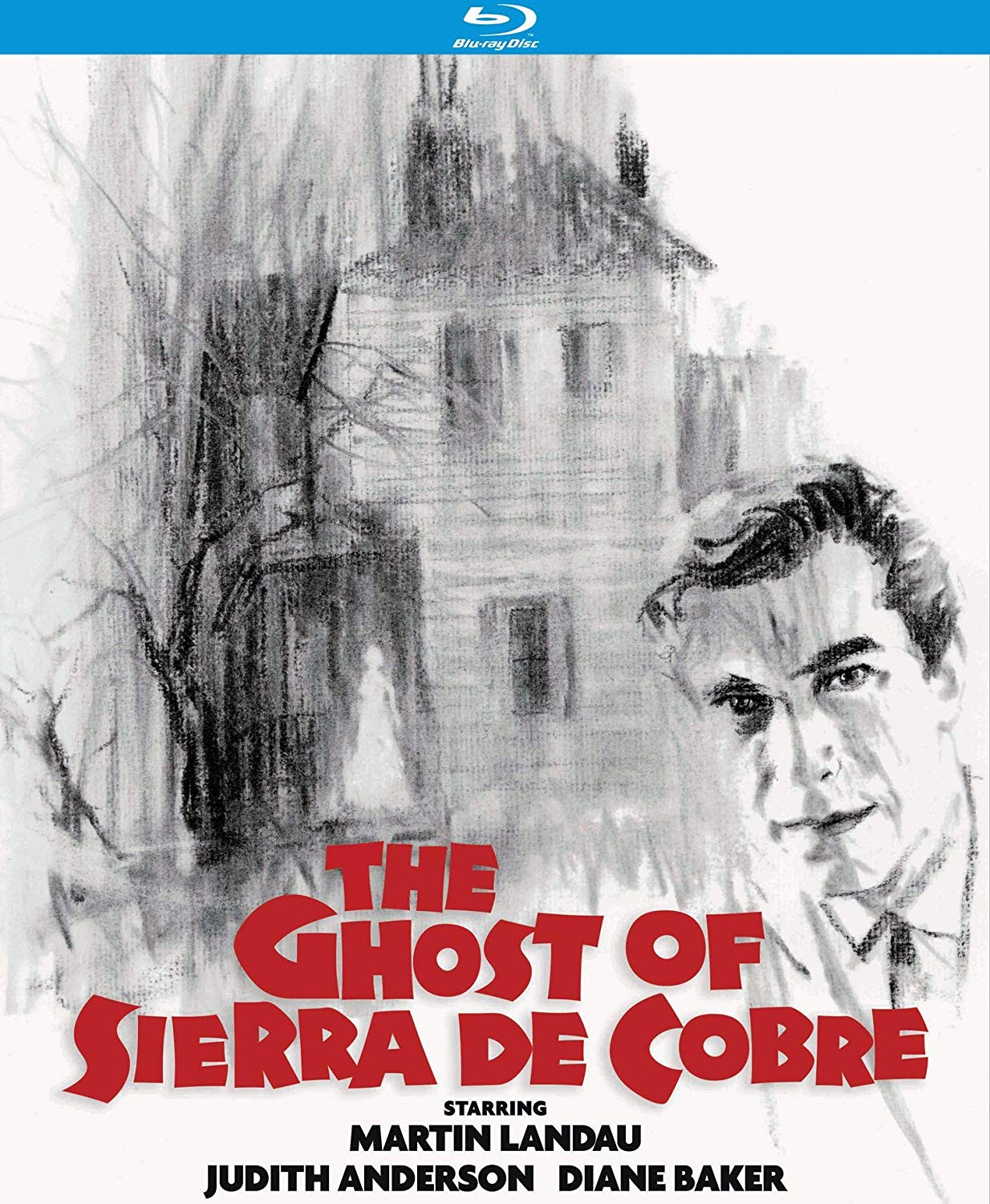Poster of The Ghost of Sierra de Cobre