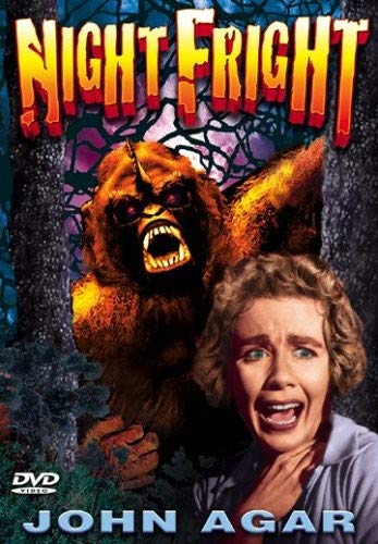 Night Fright poster