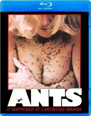 Poster of Ants!