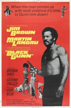 Poster of Black Gunn