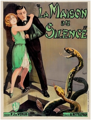 Poster of The Silent House