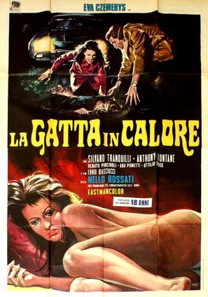 Poster of The Cat in Heat