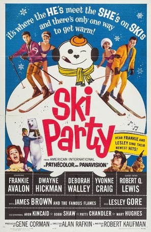 Poster of Ski Party