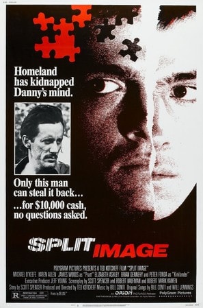 Poster of Split Image