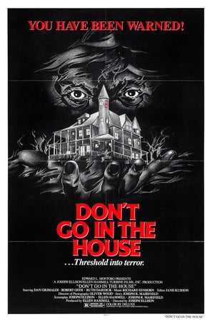 Poster of Don’t Go in the House