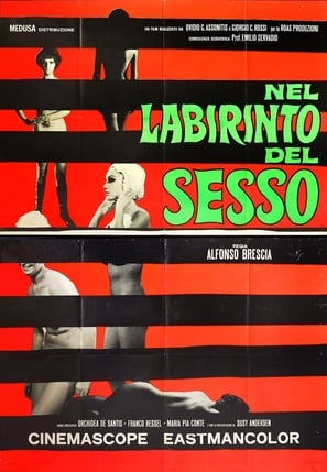 Poster of The Labyrinth of Sex