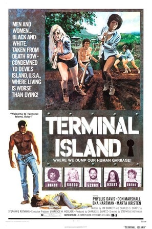 Poster of Terminal Island