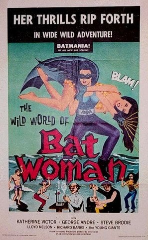 The Wild World of Batwoman poster