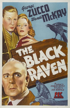The Black Raven poster