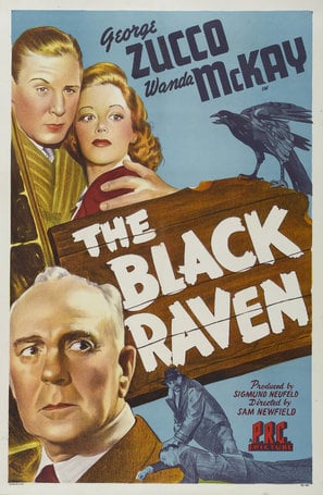 Poster of The Black Raven