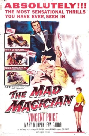 Poster of The Mad Magician