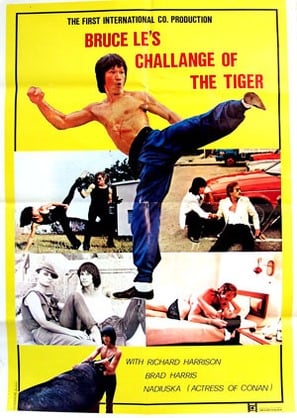 Poster of Challenge of the Tiger