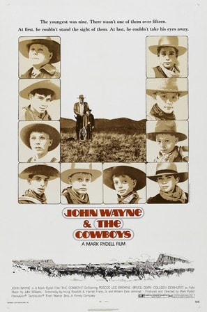 Poster of The Cowboys