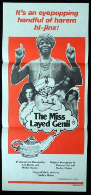 Poster of The Mislayed Genie