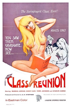 Poster of The Class Reunion