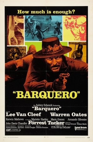 Poster of Barquero