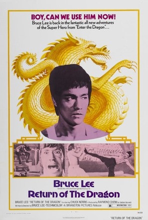 The Way of the Dragon poster