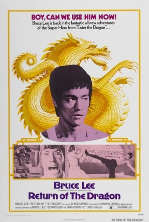 Poster of The Way of the Dragon