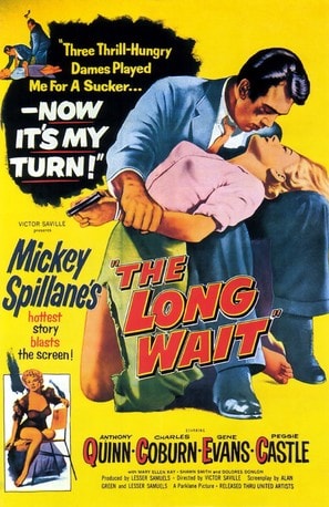 Poster of The Long Wait