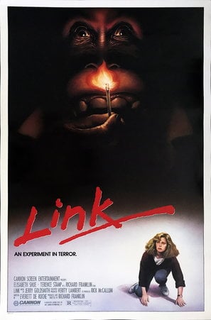 Poster of Link