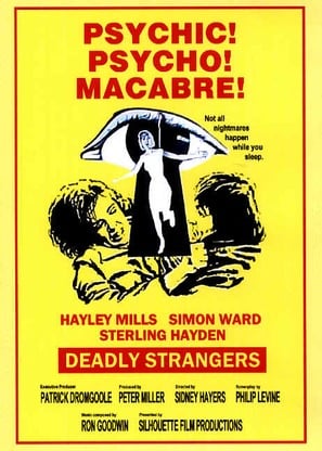 Deadly Strangers poster