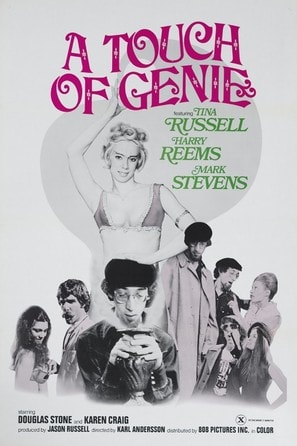Poster of A Touch of Genie