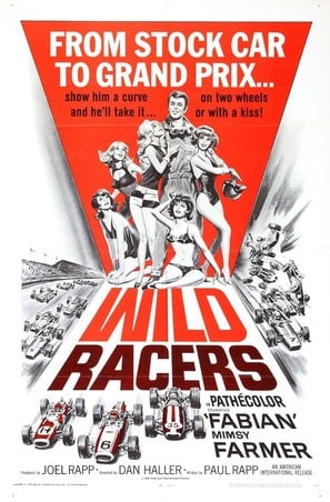Poster of The Wild Racers