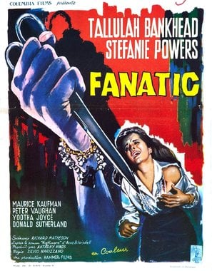 Poster of Fanatic