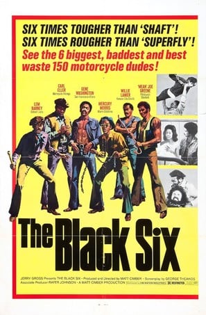 Poster of The Black 6