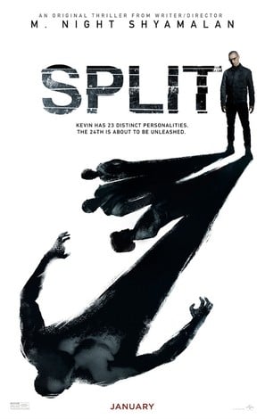 Split poster