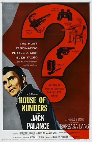 Poster of House of Numbers