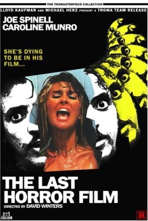 The Last Horror Film poster