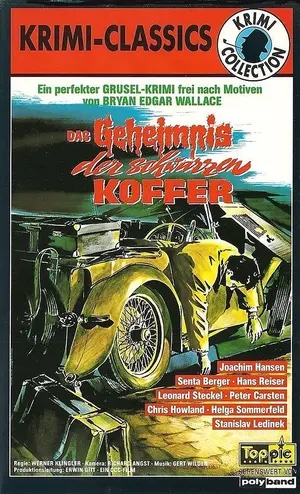 The Secret of the Black Trunk poster