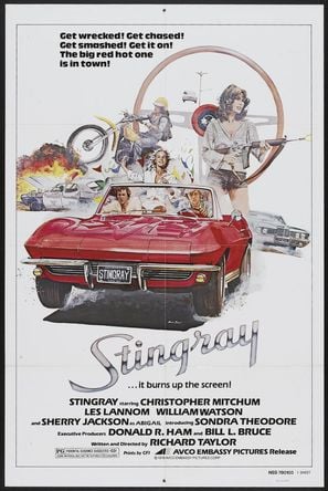 Poster of Stingray