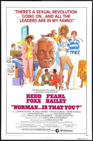 Norman… Is That You? poster